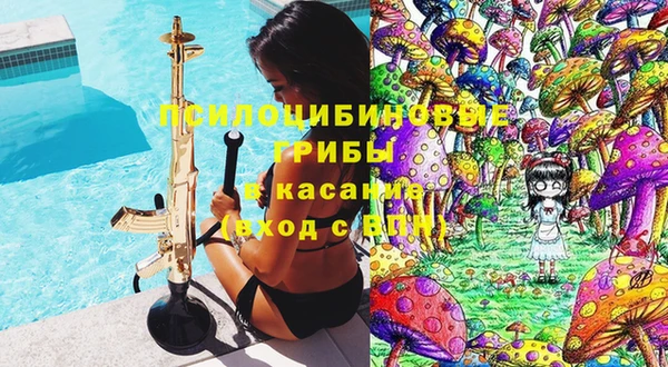 PSILOCYBIN Балахна